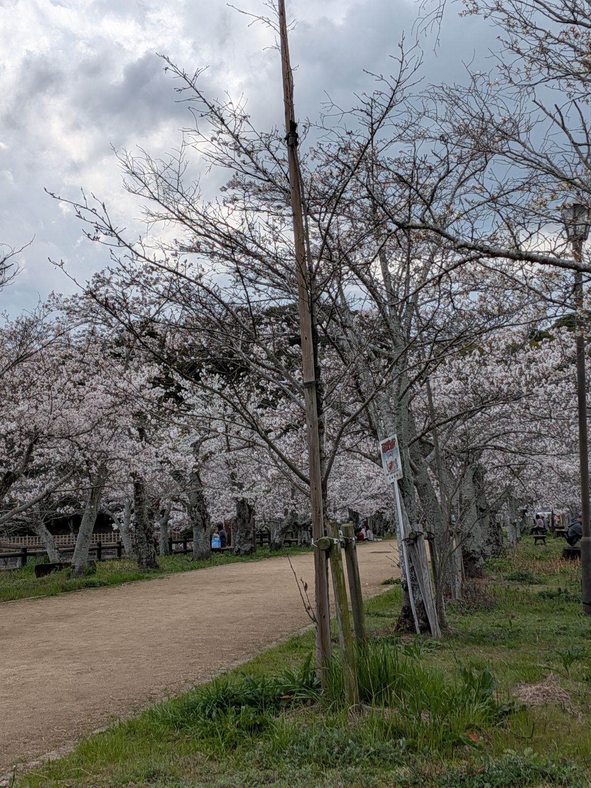 出勤予定です！