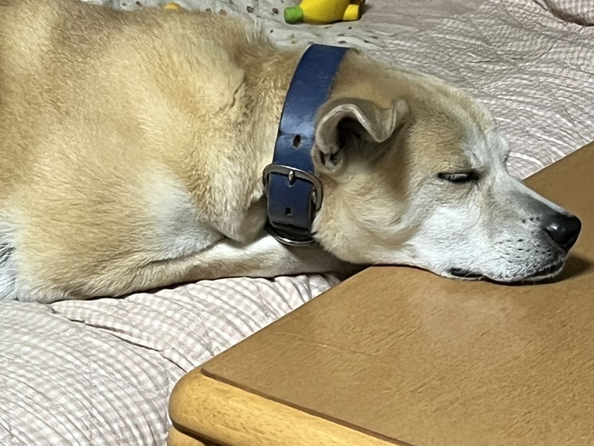 今週の出勤予定です(*  ˊ꒳ˋ*)