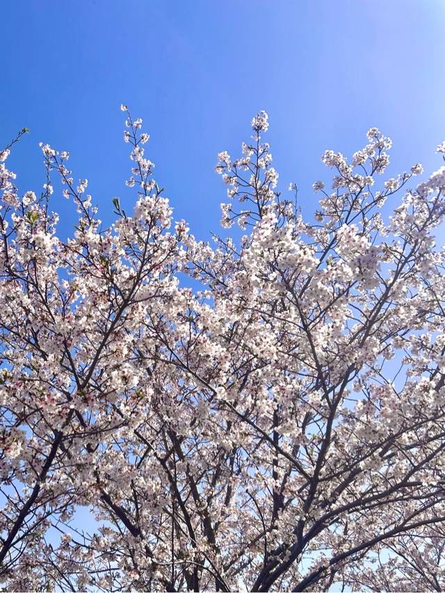 出勤しました☆彡