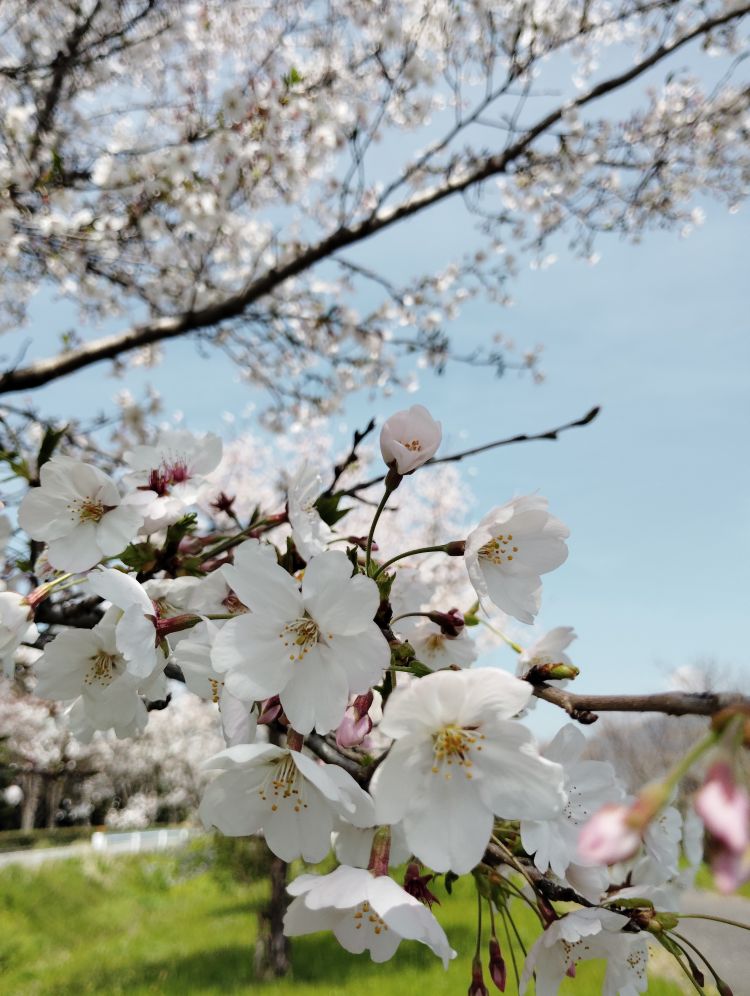 ありがとうございました♡