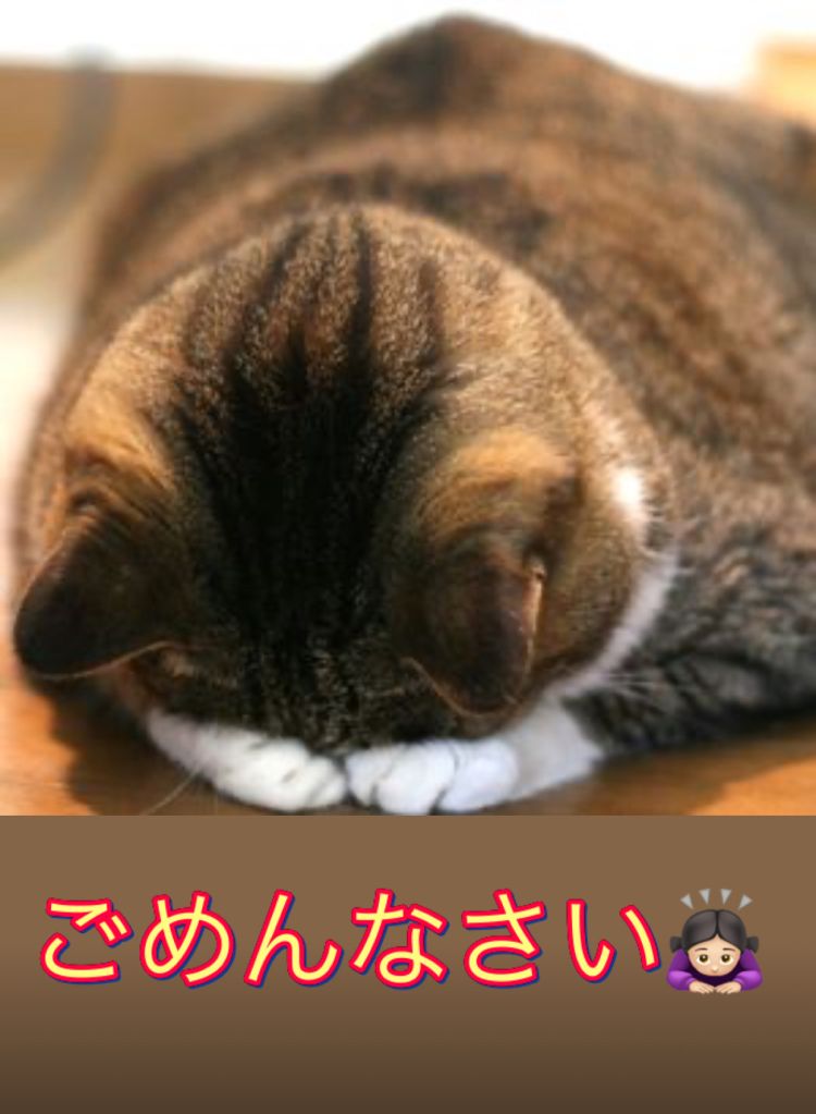 おはようございます🙇🏻‍♀️⸒⸒