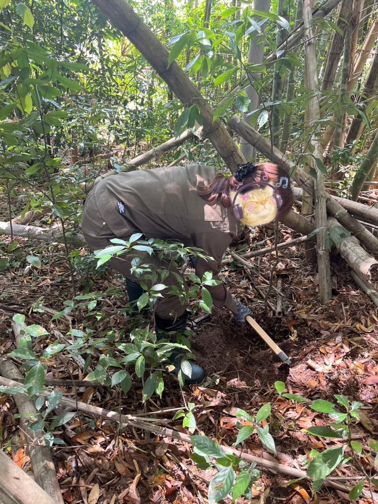 旬のタケノコ〜♪