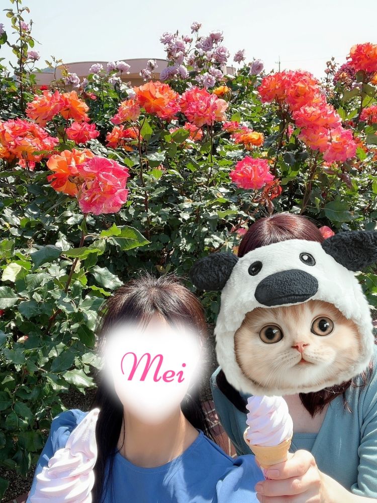 29のお礼です♡