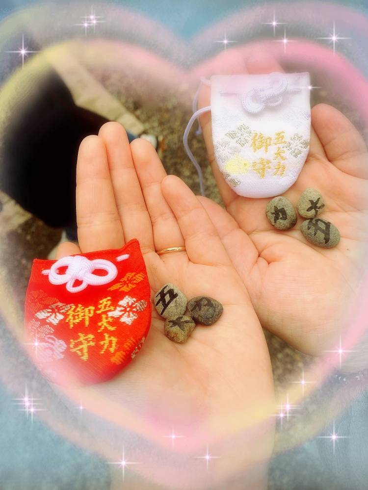 こんにちは🌱