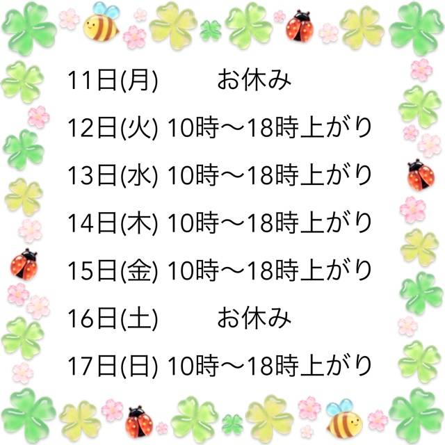 出勤予定☆彡