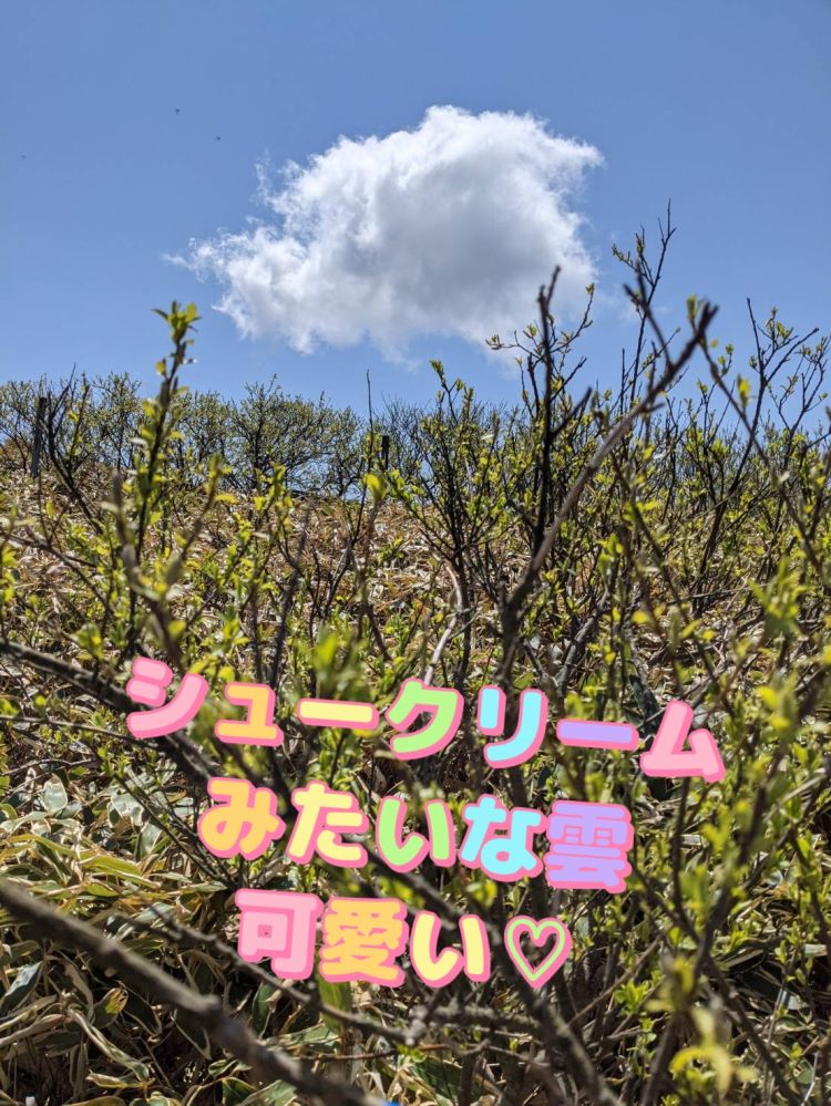めい