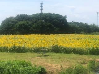 駅の目の前に🌻