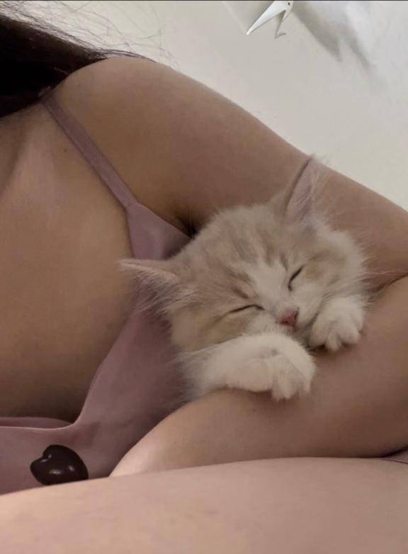 昨日は?