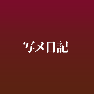 写メ日記