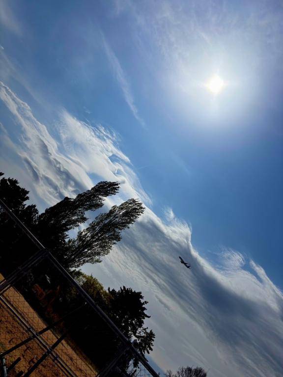 ?空?