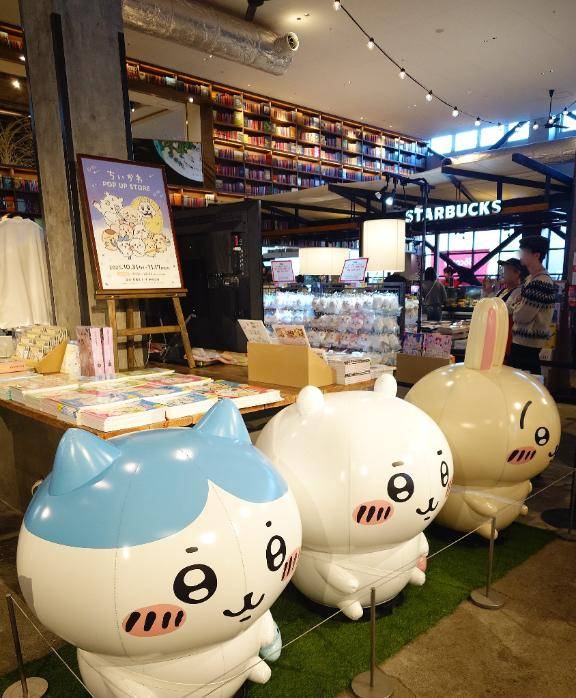 まだまだ人気～?