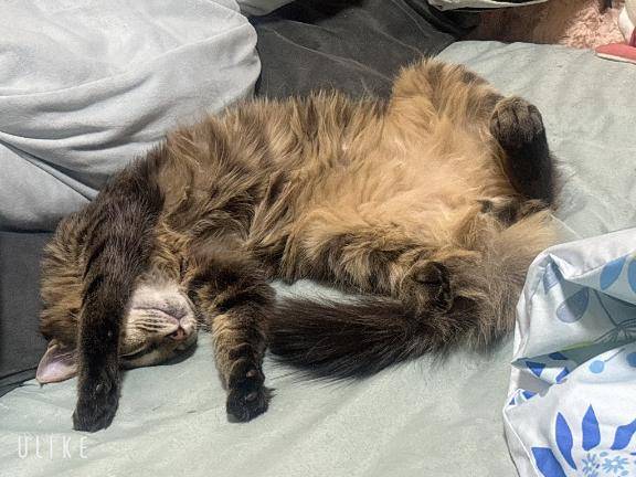 えん★人妻KISS★