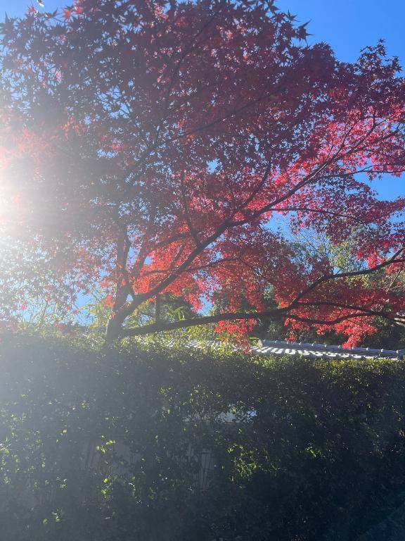 まひる★人妻KISS★