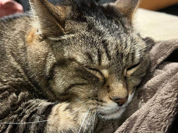 ちまき★人妻KISS★