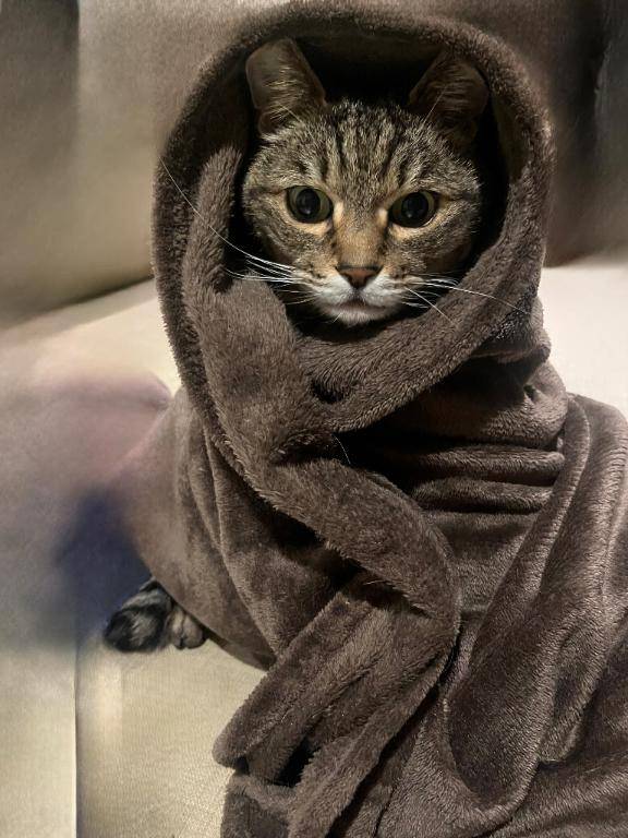 ちまき★人妻KISS★