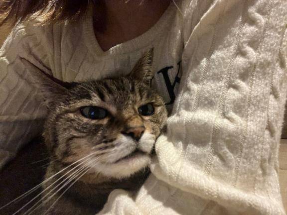 ちまき★人妻KISS★