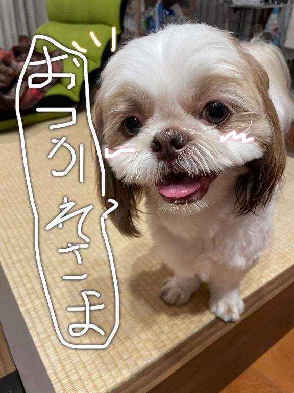 今日もありがとう??