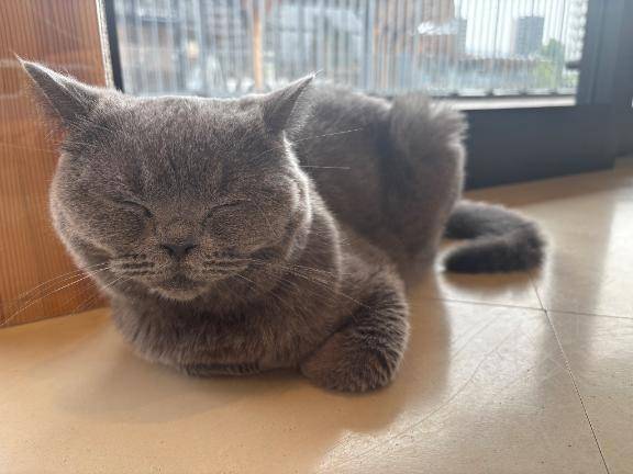 休みになりました?