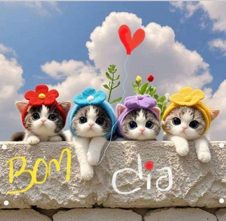 おはよ､11月10(月)のお礼⁽⁠⁽⁠ଘ⁠(⁠ ⁠ˊ⁠ᵕ⁠ˋ⁠ ⁠)⁠ଓ⁠⁾⁠⁾