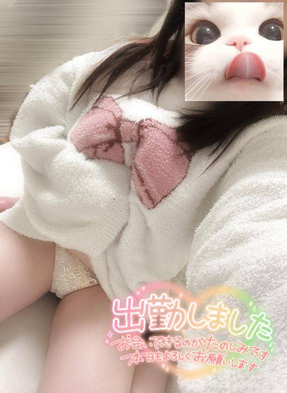 どーん(=^ ?ω?)♪