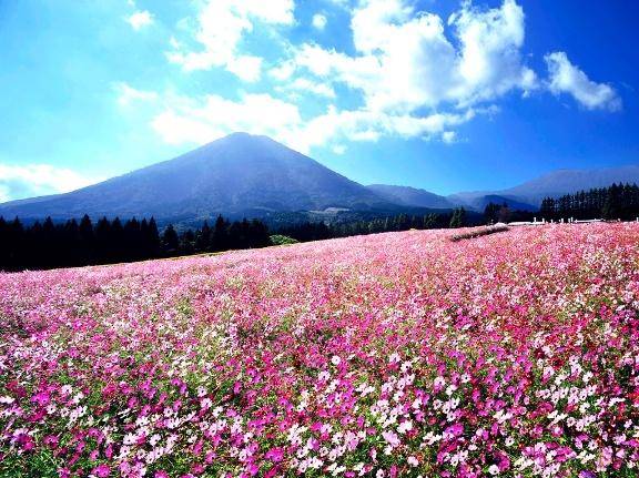 スレンダー美人テクニシャンとおか（人妻パラダイス）