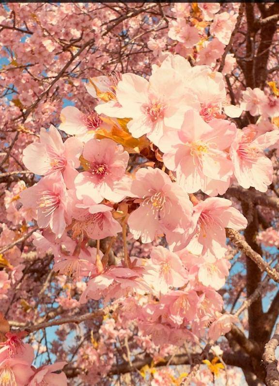 土曜日のお礼です