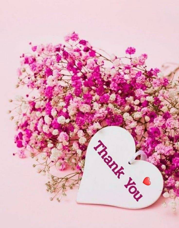 清楚系美人体験かえで（人妻パラダイス）