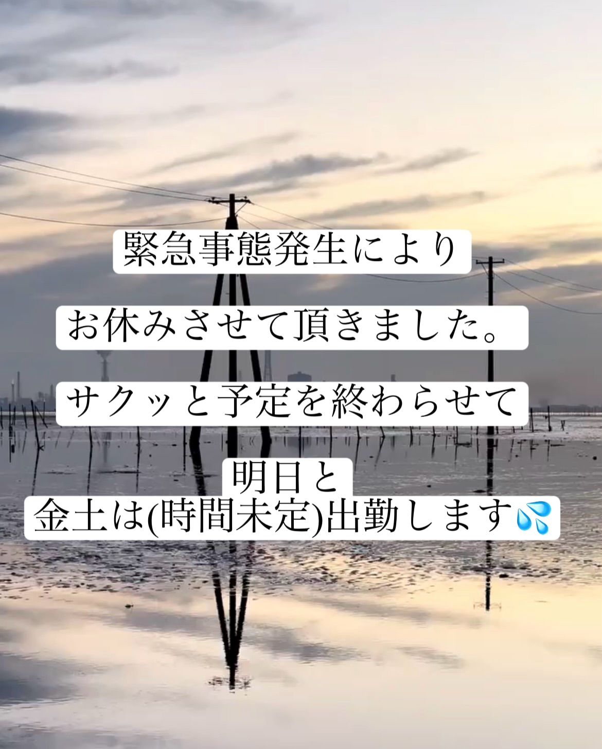 緊急事態発生(т т)