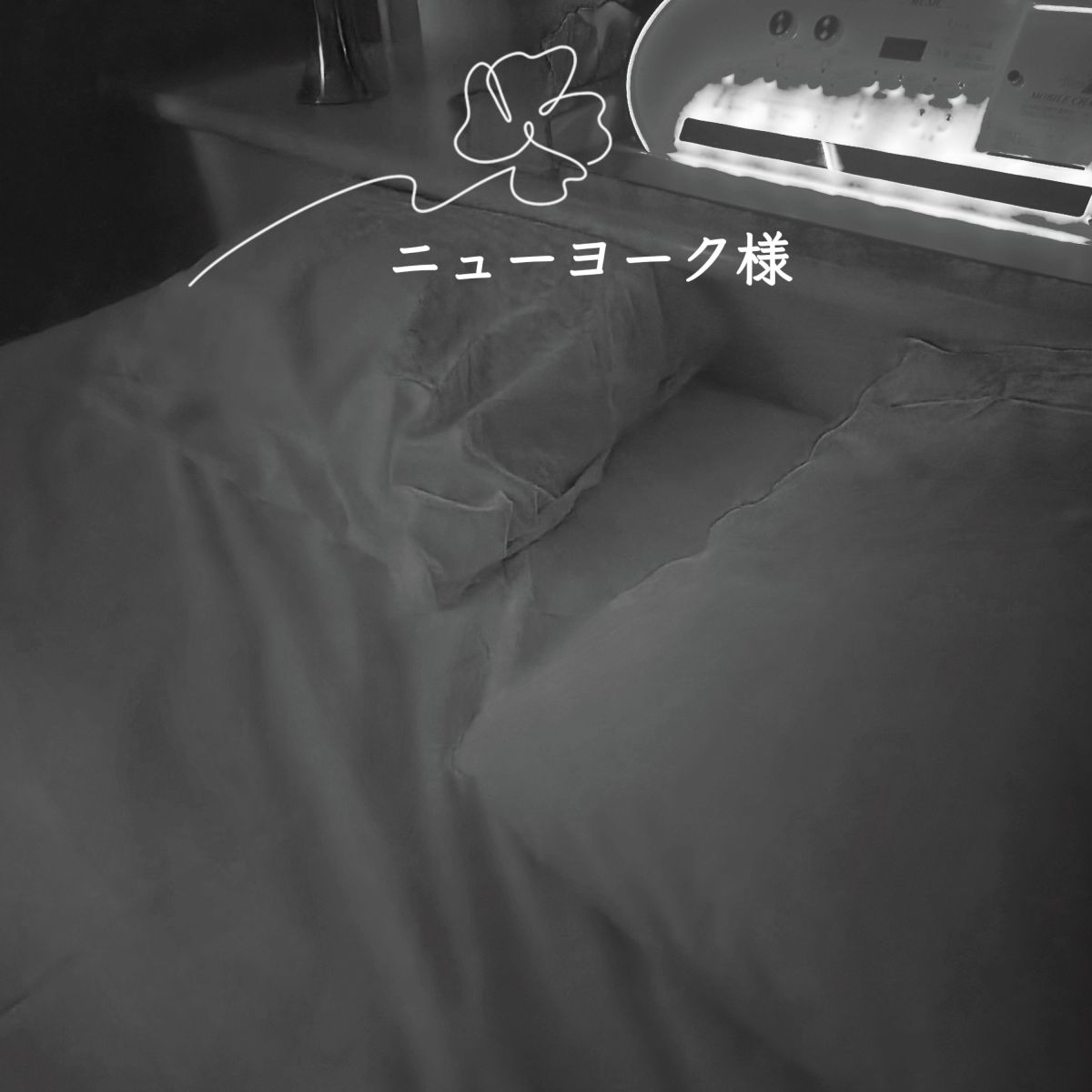 9/19🌺15:00~ニューヨーク様
