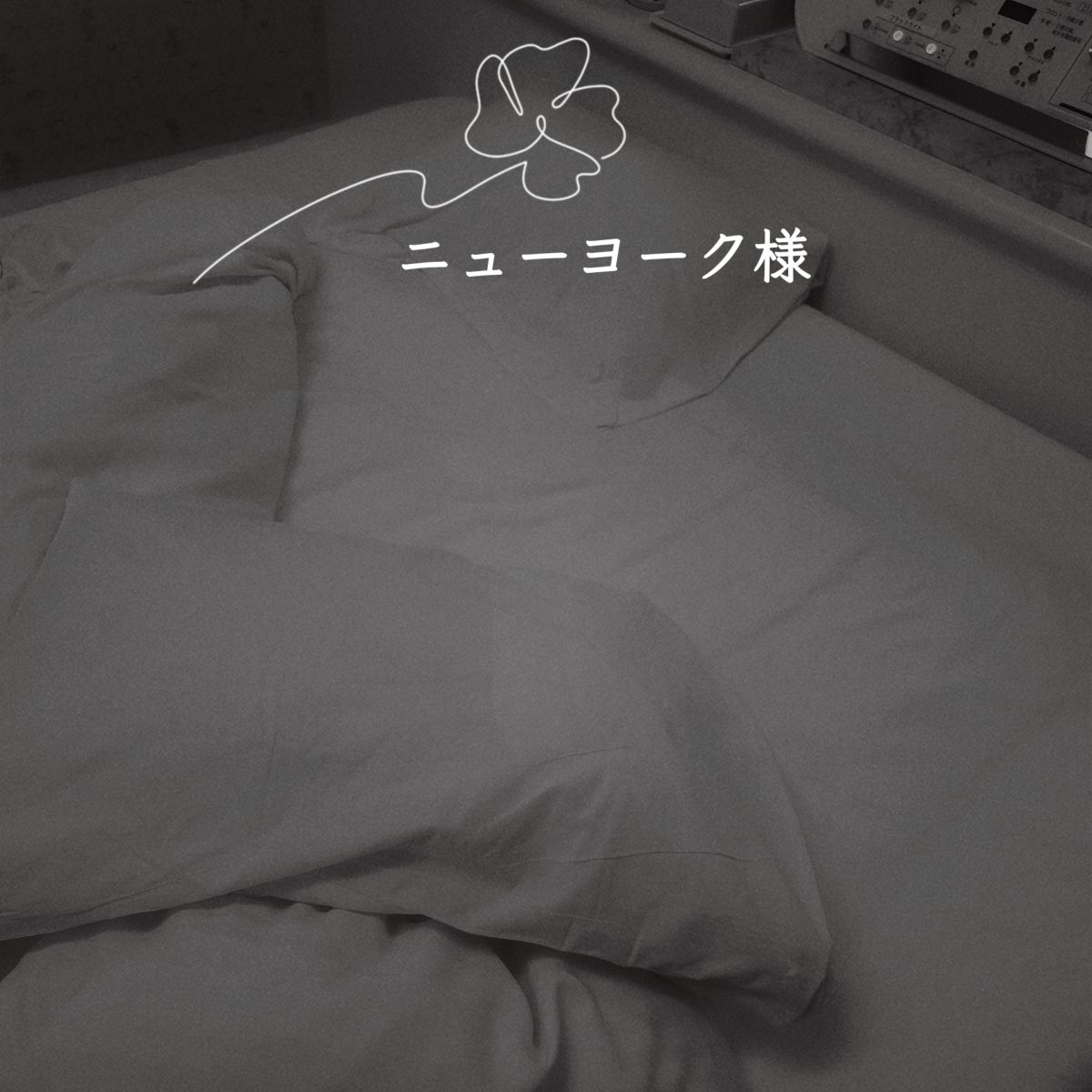 30日🌹14:30～ニューヨーク様