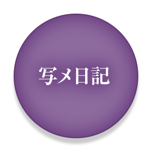 写メ日記