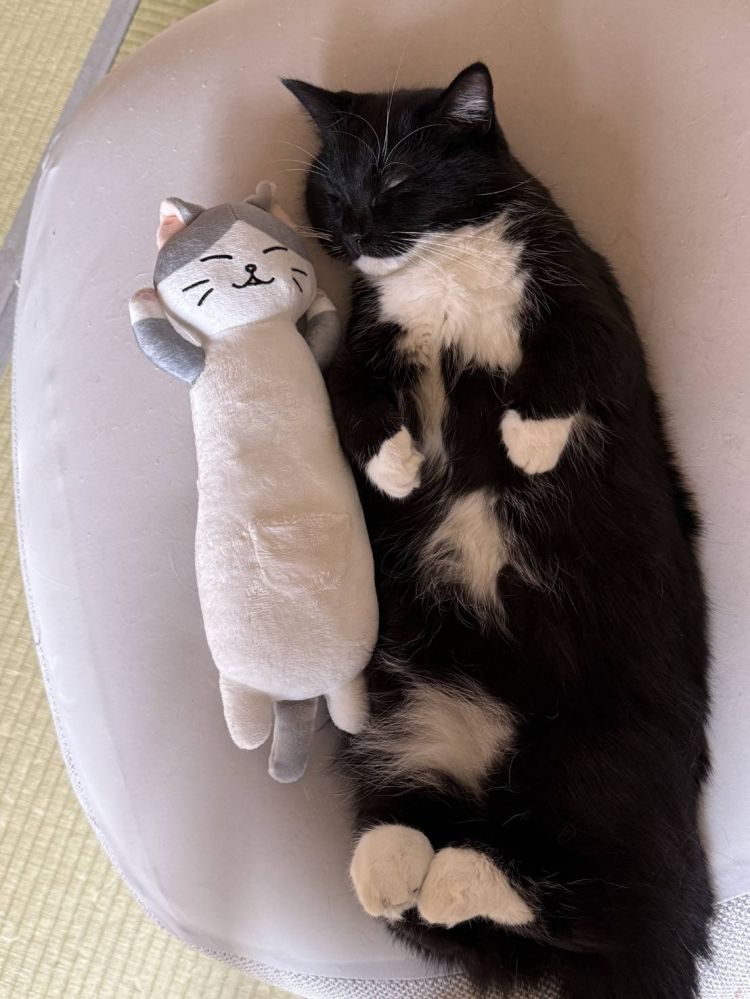 インスタグラム＆ツィーターやっています