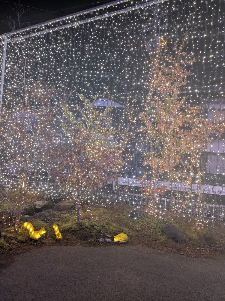 あみ（デリヘルはなびくらぶ　華美倶楽部　善通寺店）