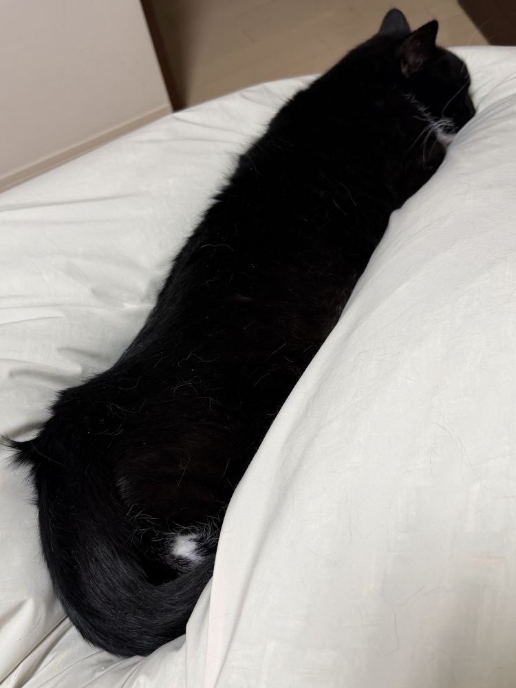 【テンションが上がる時】