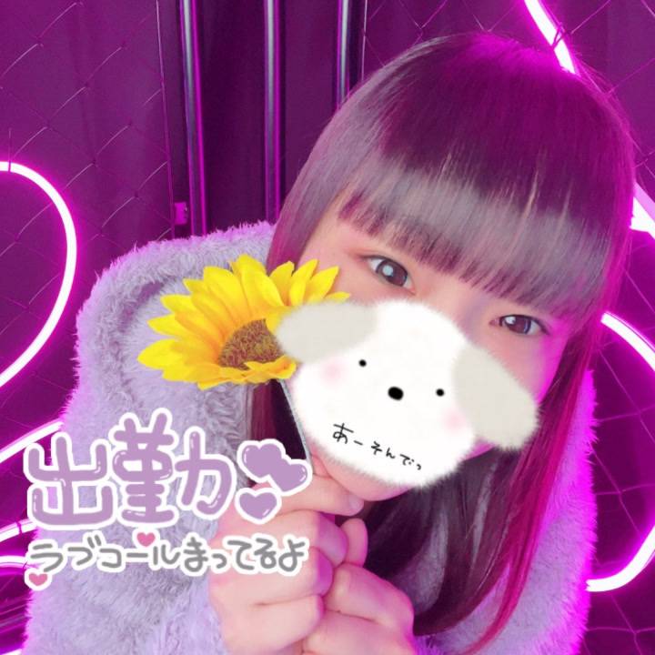 涼しいお部屋で🐹🍀*゜