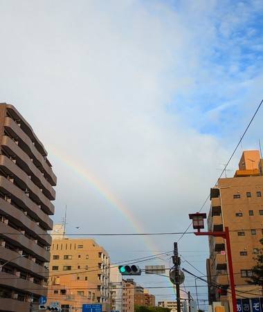 雨上がりの🌈🫶