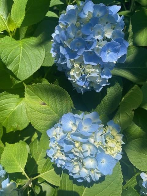 柔らかくちびる♡