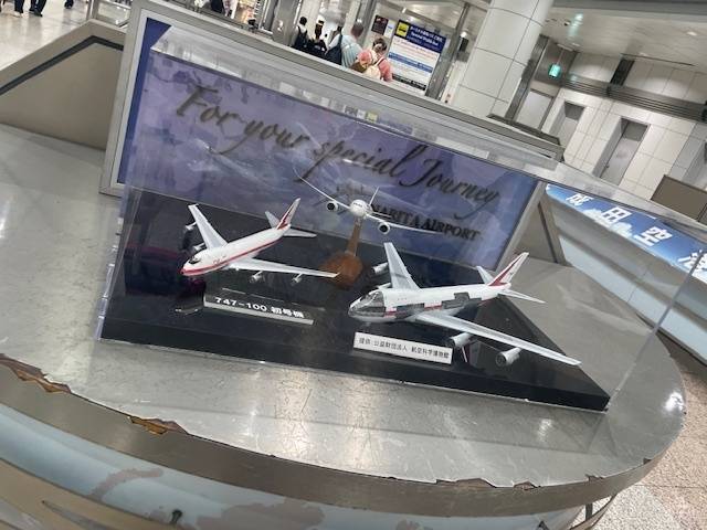びゅん✈️