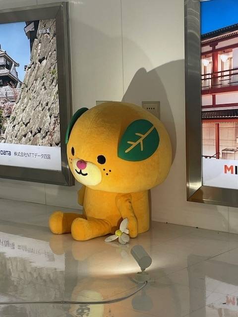 くったり🍊