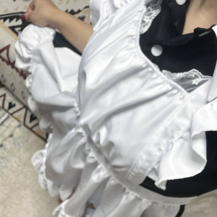 🐱🐱🐱
