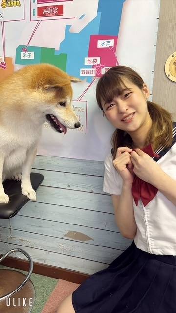 お年頃🐕