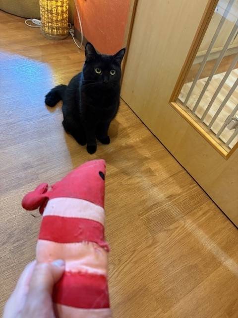 傘は忘れずに☂️