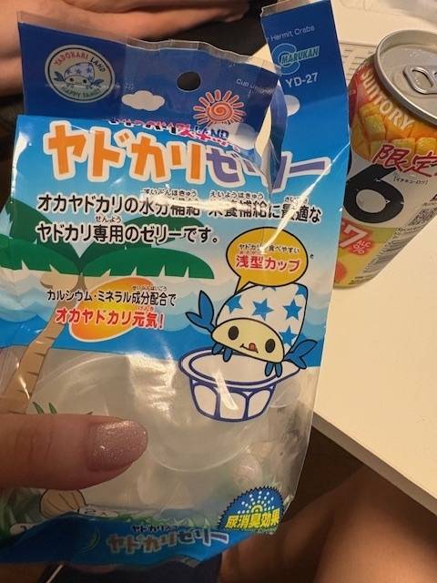 ヤドカリ様🐚