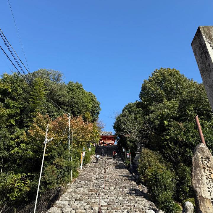 子鹿になった……