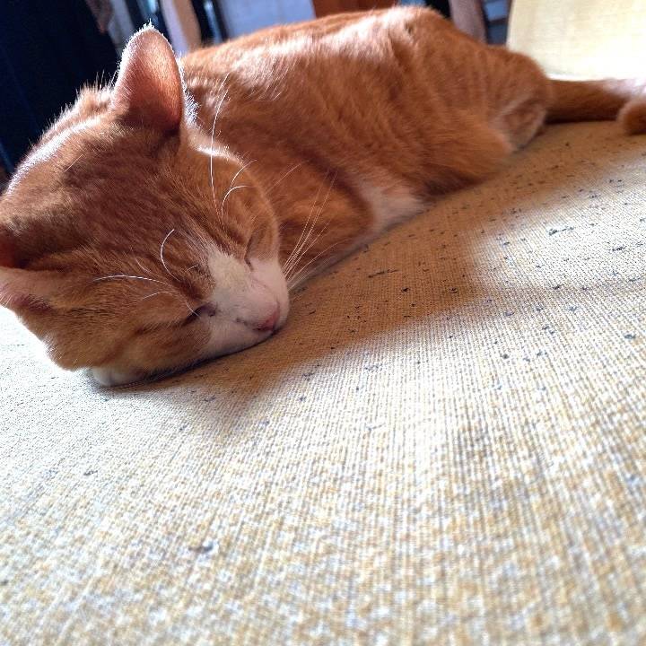 松山のお兄さん方ありがとうございました🙇🏻‍♀️