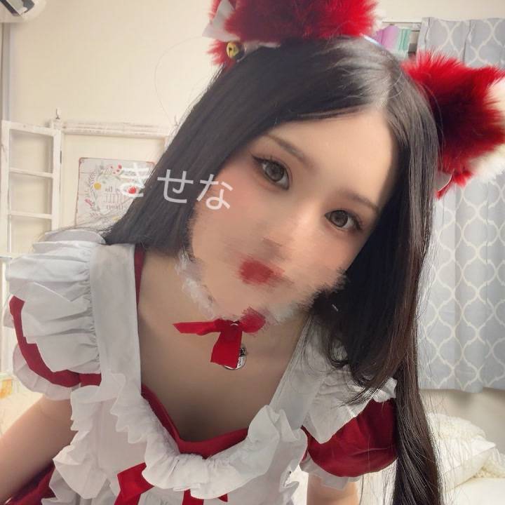 🐱メイド猫🐱