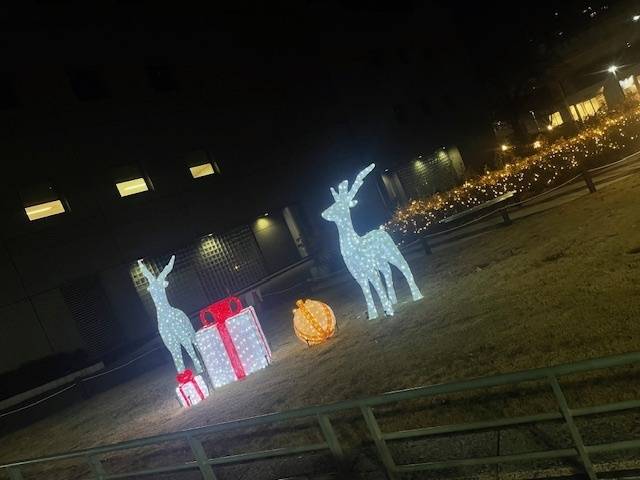 🦌とﾄﾅｶｲの違い