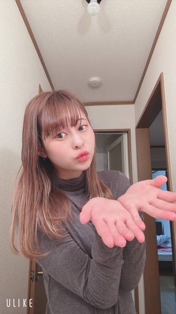 🐑納め、🐑はじめ