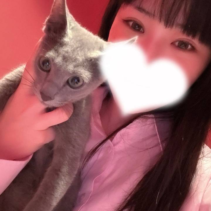 新入りだにゃんฅ^•ω•^ฅ