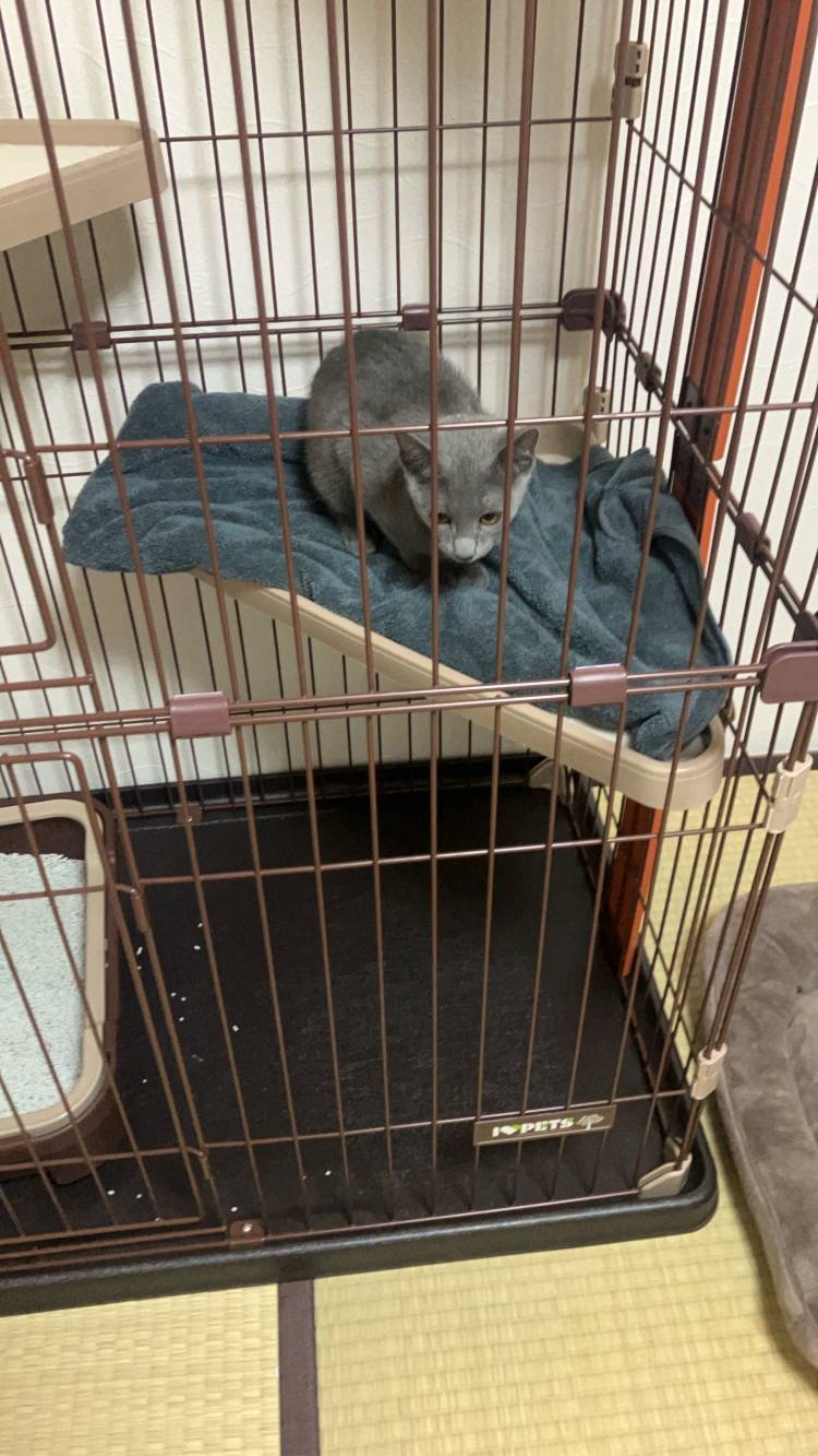 ふんわり王道かわいい系